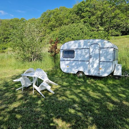 Camping La Foret Du Morvan Vintage Caravan Larochemillay Eksteriør billede