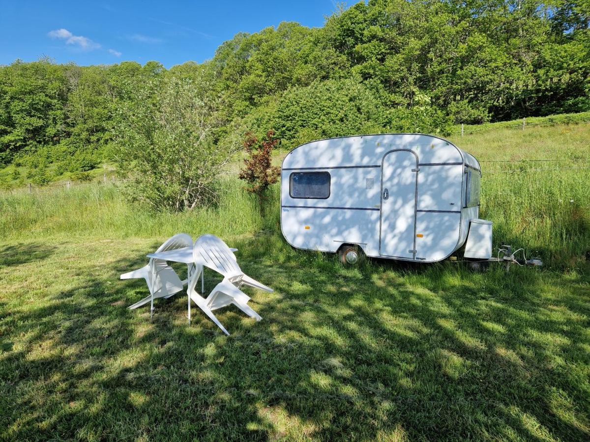 Camping La Foret Du Morvan Vintage Caravan Larochemillay Eksteriør billede