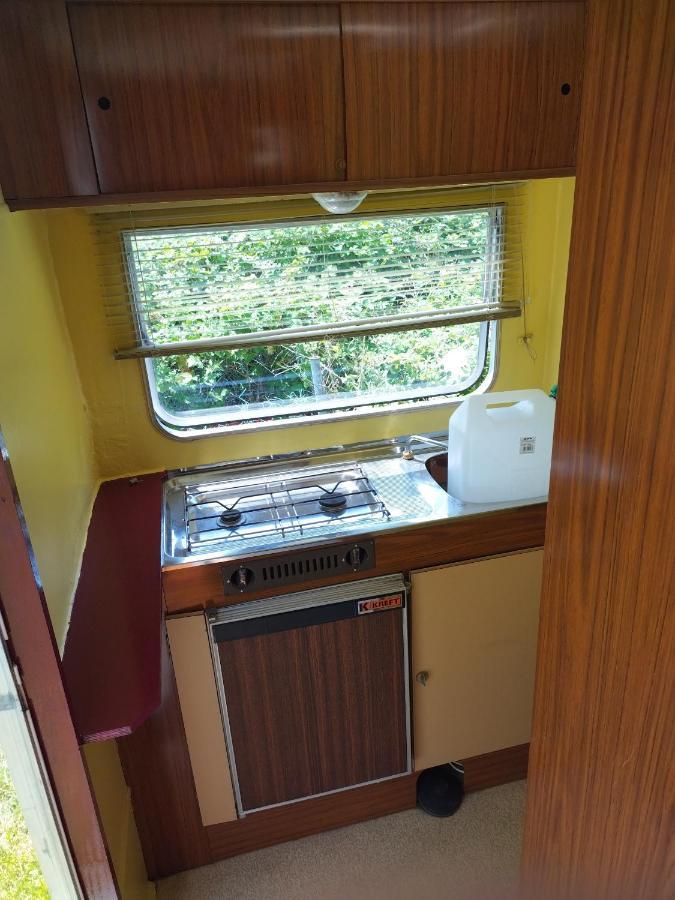 Camping La Foret Du Morvan Vintage Caravan Larochemillay Eksteriør billede
